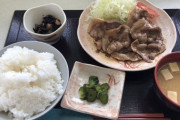 【画像】焼肉定食（こういうのでいいんですよね…？）
