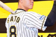 プロ野球12球団、 今年のルーキーの新人王候補