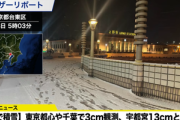 【悲報】東京、大雪ｗｗｗｗｗｗｗｗｗｗ