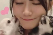 小倉唯さん、一人暮らしなのに仔犬2匹を飼いはじめる