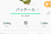 【ポケモンGO】このパッチールは何番になるの？