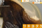 【宮城】知人からもらったキノコで味噌汁…3人が中毒