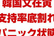 韓国文在寅パニック！　支持率が底割れで完全崩壊！　強固な支持層もついに離れ始めた！　終わったな…