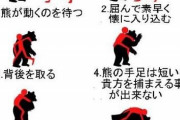 【悲報】熊、ショットガンでも怯まず突進してくる模様ｗｗｗｗｗｗｗｗｗｗｗｗ
