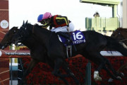【競馬】有馬記念、今年の売り上げは550億8305万7100円　JRA発表