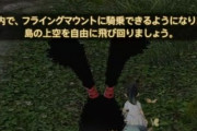 【FF14】実装からわずか1日で開拓ランクを10にしたプレイヤーさんがついにフライングマウントを開放！ → 無人島の山頂へ