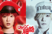 『はたらく細胞』実写映画化決定！赤血球役に永野芽郁さん、白血球役に佐藤健さん　アクションがどう見ても剣心ｗｗｗｗ