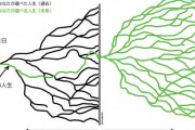 人生には無数の分岐があることを可視化した画像