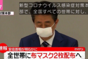 今回のマスク2枚でさすがに日本政府に愛想が尽きた部