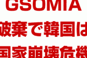 【画像】韓国がGSOMIA破棄で国家崩壊の危機に陥ると一発で分かる画像がこちら