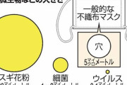 【悲報】マスクの真の性能、判明してしまうWIWIWIWIWIWIWIIWIWIWIWIWIWIW