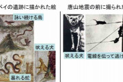 動物の第六感を使った「地震予知」に初成功！　科学がオカルトを証明する