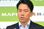 小泉進次郎さん、文春にブチギレ反論開始