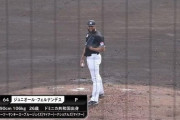 ロッテ・フェルナンデス、NPB実戦初登板で最速156キロも2回4安打3四球2奪三振