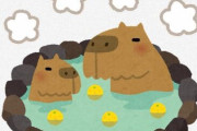 カピバラの和名がいかつい件ｗｗｗｗｗｗｗ