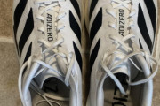 【レビュー】アディゼロ エボ SL 100マイル以上の感想