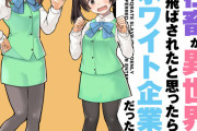 【画像】漫画家「ブラック企業か……主人公は入社3年目で手取り10万のOLにしたろ！」