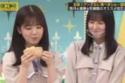 【乃木坂46】さくちゃんの表情たまらんｗｗｗｗｗｗｗｗｗｗｗ