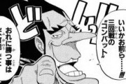 【驚愕】逆にワンピースで一番賛否が多いのって何編なんや？？？