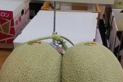 【画像】とんでもないメロン売ってたｗｗｗｗｗｗｗｗｗｗｗｗｗ