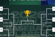 WBC「準決勝・決勝は平日朝です！」←どうやって見るんだよ