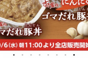 【画像】すき家の新商品がこちら