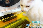 対ねこキーボードカバー【再】