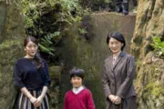 【悲報】悠仁、紀子に暴言連発　姉の結婚問題が影響【ねンだわ】