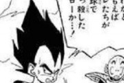 【悲報】ベジータさん、辛辣