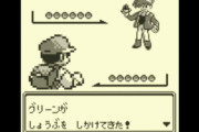【画像】ポケモンのグリーン「俺は図鑑を集めながら完璧なポケモンを探した、色んなタイプのポケモンに勝ちまくるコンビネーションを探した」→結果
