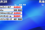 【大井3R新馬戦】5頭→2頭立てのレースに