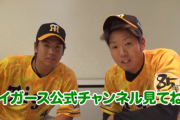 プロ野球12球団公式YOUTUBE登録者数ランキングwwww