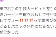 【悲報】カービィアイコン「電車で雄叫びをあげるとパニック発作にならない」