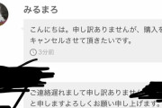 ワイ「お、メルカリ売れたで～」女「キャンセルさせてください」ワイ「は？」