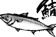 【魚】庶民の魚だったサバの高騰が止まらない納得理由