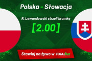 ◆EURO◆E組1節 ポーランド×スロバキア レバンドフスキ不発！ポーランド後半追いつくも赤紙で一変、シュクリニアの決勝Gでスロバキア白星発進