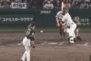森下翔太(神)死球7   リーグトップ1位