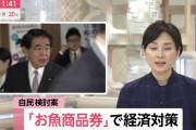 自民、コロナ経済対策で『お魚商品券』発行も検討！? ★2