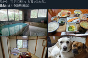 【画像】朝食付き一泊4400円の旅館、素晴らしい😆