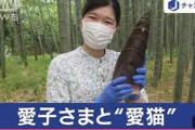 【画像】愛子さまの飼い猫、とんでもないお姿になる