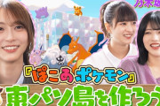 【動画】【乃木坂46】3人で力を合わせて"東パソ島"に家を建てよ！果たしてどんな家が完成するのか！？【ぽこ あポケモン】
