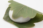 かしわ餅の葉っぱ食べる派？食べない派？