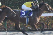 【競馬予想】[3]第39回フェブラリーステークス(GI) / 2022