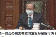 【悲報】共産党とれいわ、統一教会被害者救済法案に反対してしまうｗｗｗｗ