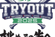 球団スカウト「トライアウトでこの選手全打者に長打打たれてたけど取る予定だから獲得っと」