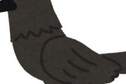 【画像】女さん「カラスが懐いてきて家まで連いてきちゃった（ﾊﾟｼｬｯ」ツイッター民「！！？？」ｼｭﾊﾞﾊﾞﾊﾞ