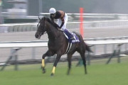 【競馬】キタサンブラックは何故強いのか？