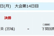 いよいよ今日甲子園決勝ｗｗｗｗｗｗｗｗｗｗ