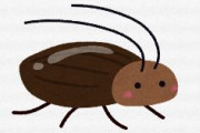 【昆虫食】究極の昆虫食はまさかの…「ゴキブリ」 カリッとサクサク　低脂質で高たんぱく、スナック感覚で