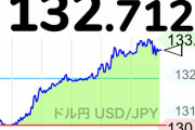 【悲報】ドル円133円タッチ、ガチのマジのスーパーアルティメットカオスでやばい